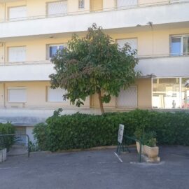 VENTE Trois pièces Cannes 280900 €