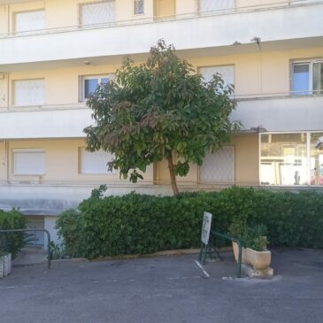 VENTE Trois pièces Cannes 280900 €