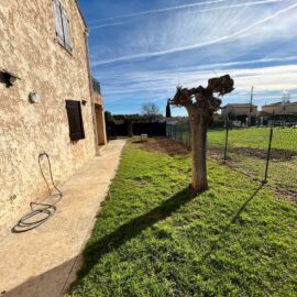 DEUX PIECES AVEC JARDIN BIOT